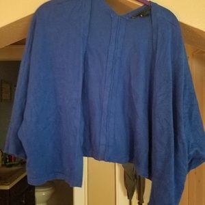 Lane Bryant Blue sweater